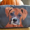 BOXERup
