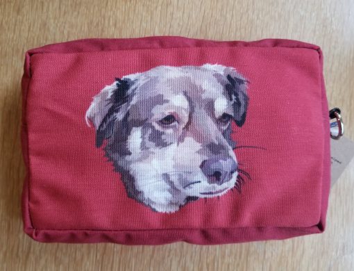 Lola Dog Front Lola Dog Front